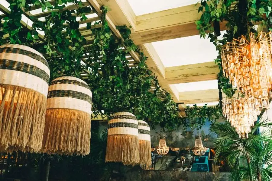 Trang trí trần quán cafe với hệ thống dây leo đẹp mắt, ấn tượng.