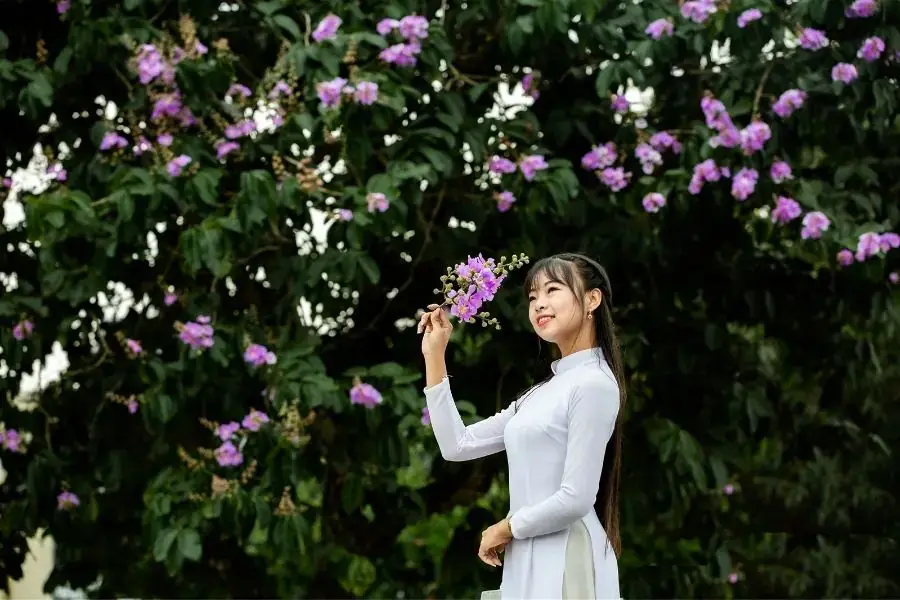 Chụp ảnh hoa Bằng Lăng với áo dài nhẹ nhàng.