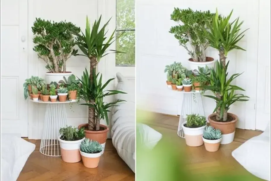 Đặt những chậu cây thành nhiều tầng trong góc lớp mầm non