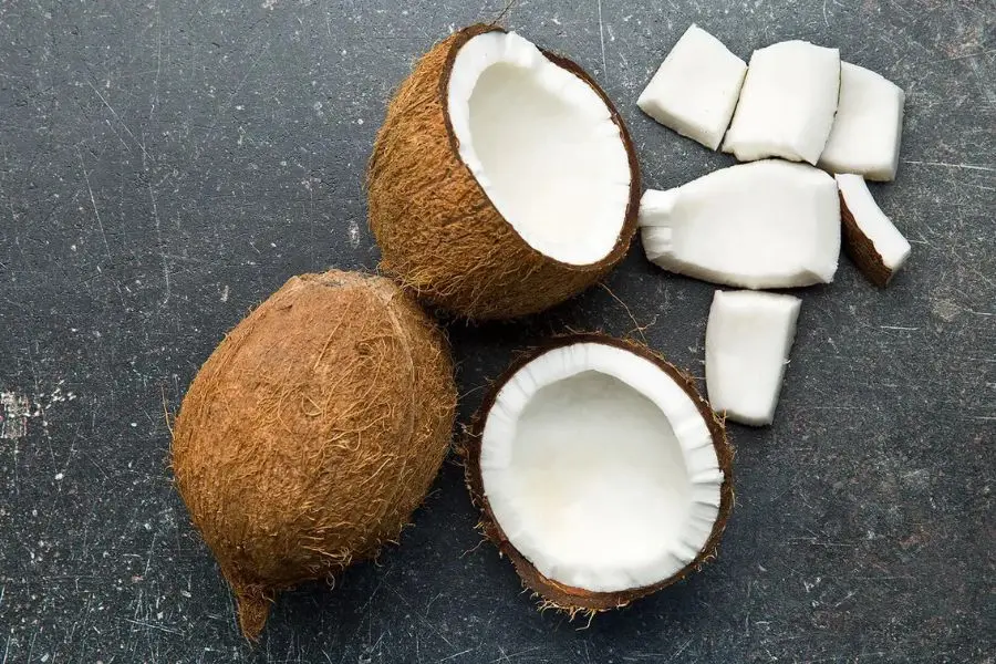 Dừa bánh tẻ cho độ cứng và độ dai vừa phải thích hợp cho việc nạo sợi, làm mứt sẽ ngon và dẻo hơn.