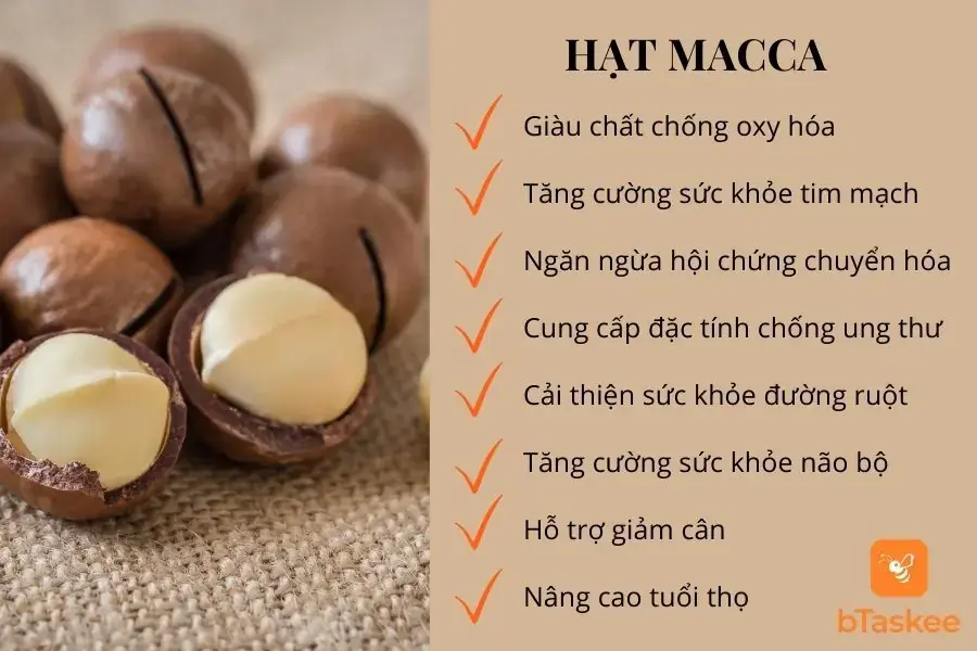 Lợi ích của hạt mắc ca đối với sức khỏe