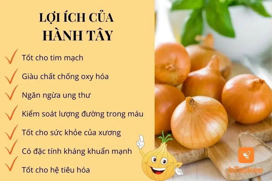 Lợi ích của hành tây đối với sức khỏe