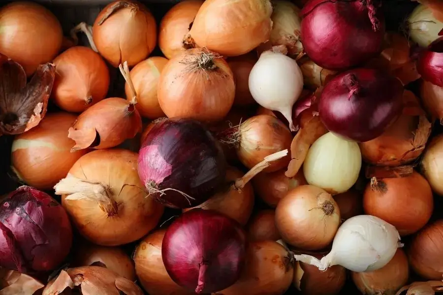 Tiêu thụ các loại thực phẩm thuộc giống Allium như hành tây có thể giảm nguy cơ mắc một số bệnh ung thư