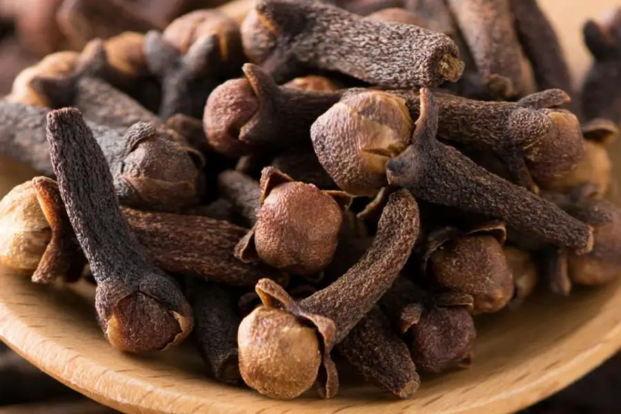 Đinh hương đuổi ruồi rất hiệu quả