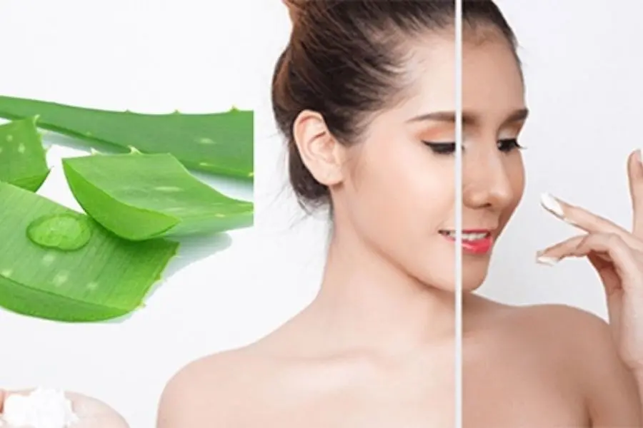 kỹ thuật trồng cây nha đam dùng để làm đẹp