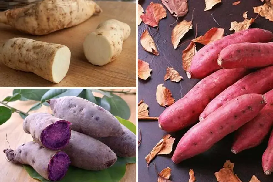 Các loại khoai dùng để nấu chè khoai dẻo