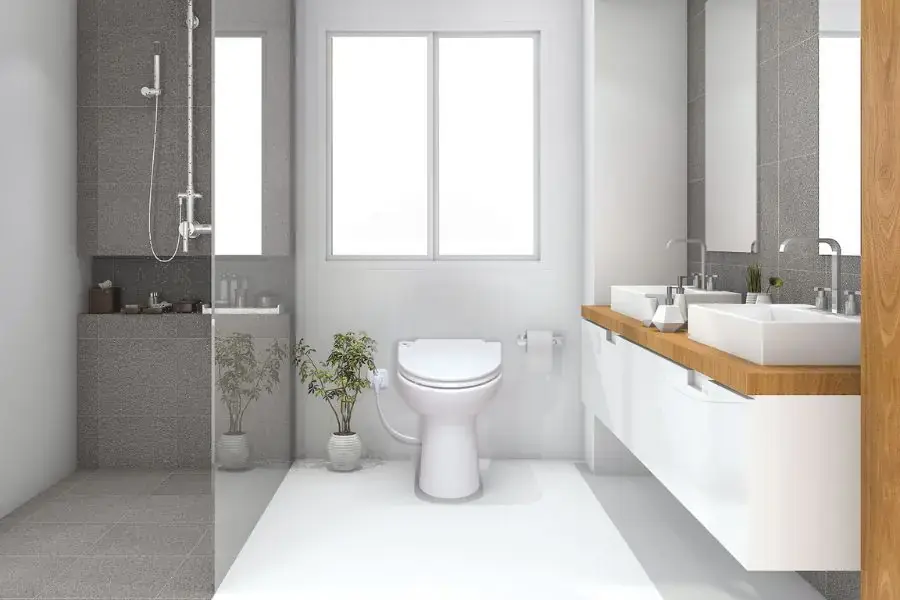 Trồng cây trong nhà vệ sinh giúp loại bỏ mùi hôi và vi khuẩn gây hại hiệu quả