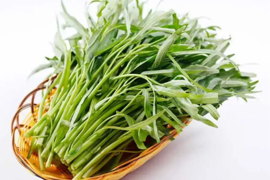 Trong thực đơn giảm cân với rau luộc, rau muống rất có ích