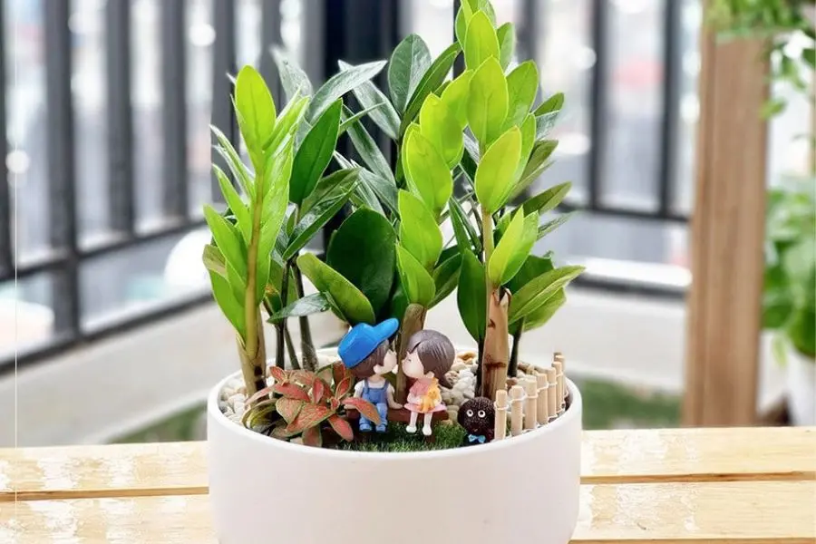 Đặt cây đúng hướng để hút tài vận tốt nhất cho gia chủ.