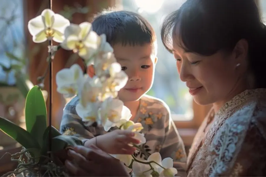 Tặng mẹ hoa Lan Hồ Điệp để mong muốn mẹ được khỏe mạnh và hạnh phúc.