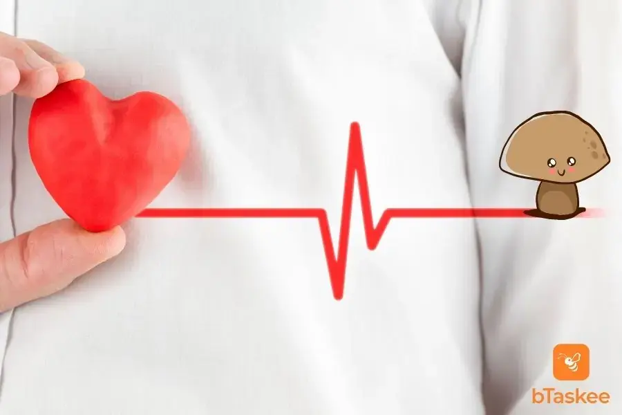 Nấm hương giúp tăng cường sức khỏe tim mạch