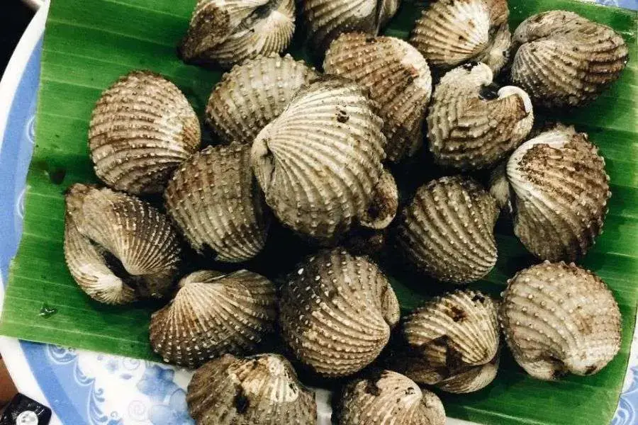 Sò huyết bảo quản tốt giúp giữ được chất dinh dưỡng và an toàn cho sức khỏe