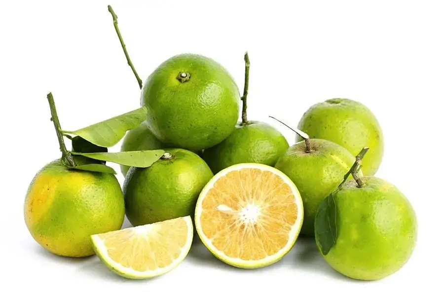 Quả cam xoàn vỏ mỏng vị ngọt thanh
