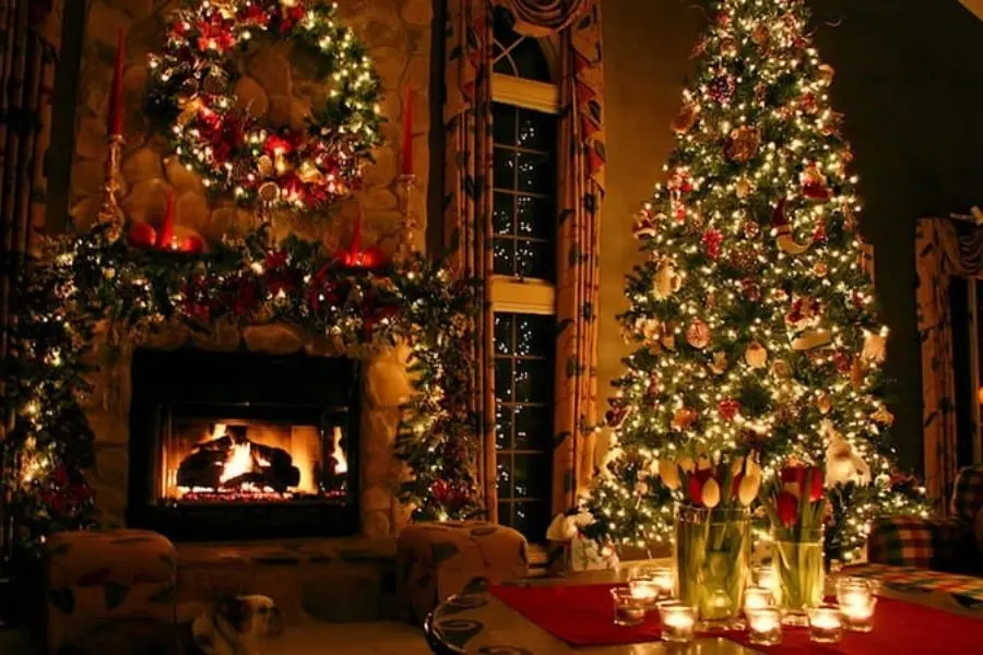 Cây thông Noel đặt gần lò sưởi tạo lên bầu không khí ấm cúng trong gia đình.