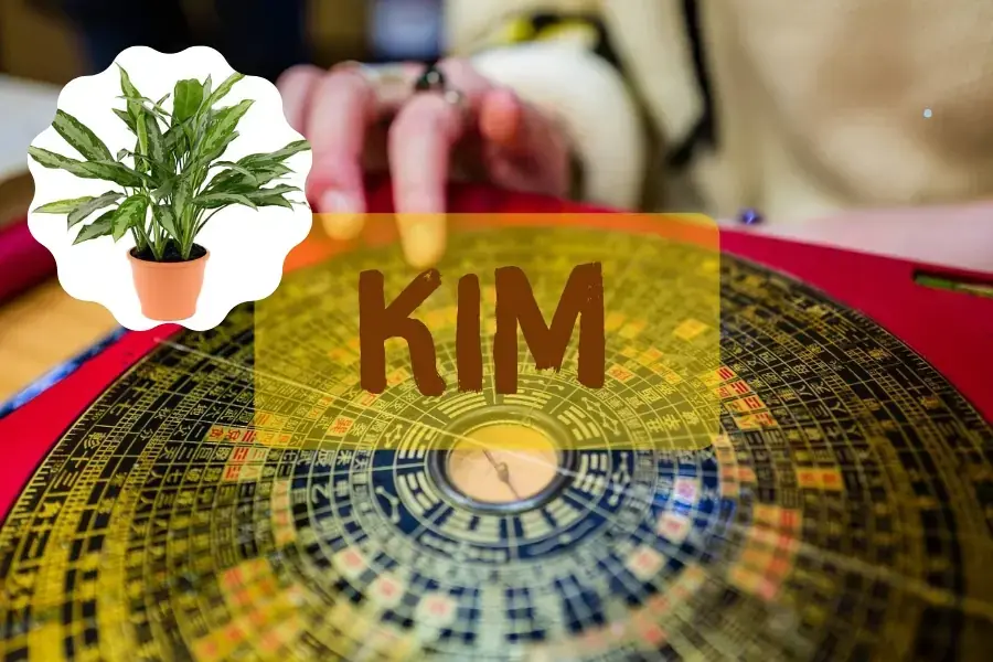 Giữ Tiền hợp với người mang mệnh Kim.