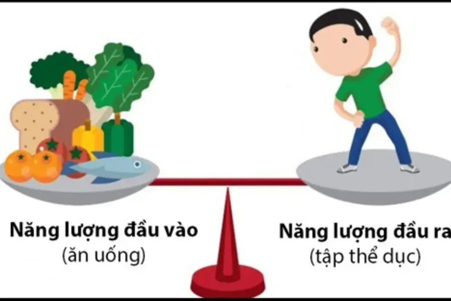 Cân bằng lượng calo nạp vào cơ thể từ thực đơn Healthy