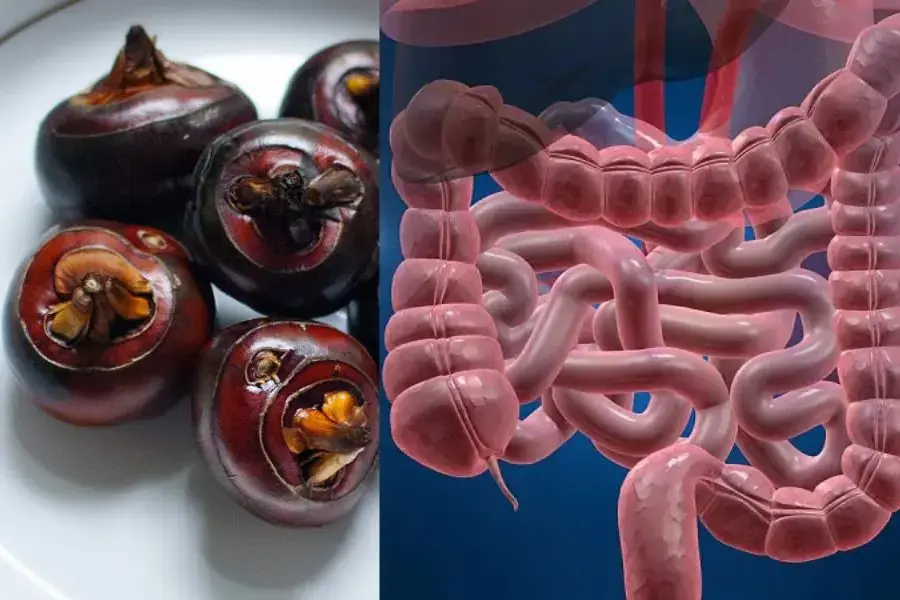 Củ năng chứa chất xơ có lợi cho đường ruột.