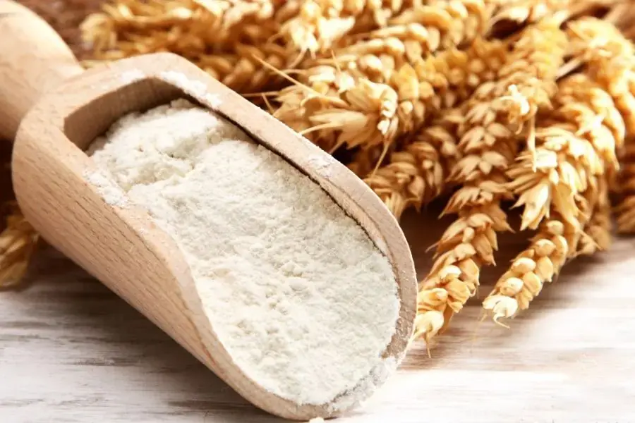 Bột yến mạch dành cho bữa phụ của bạn