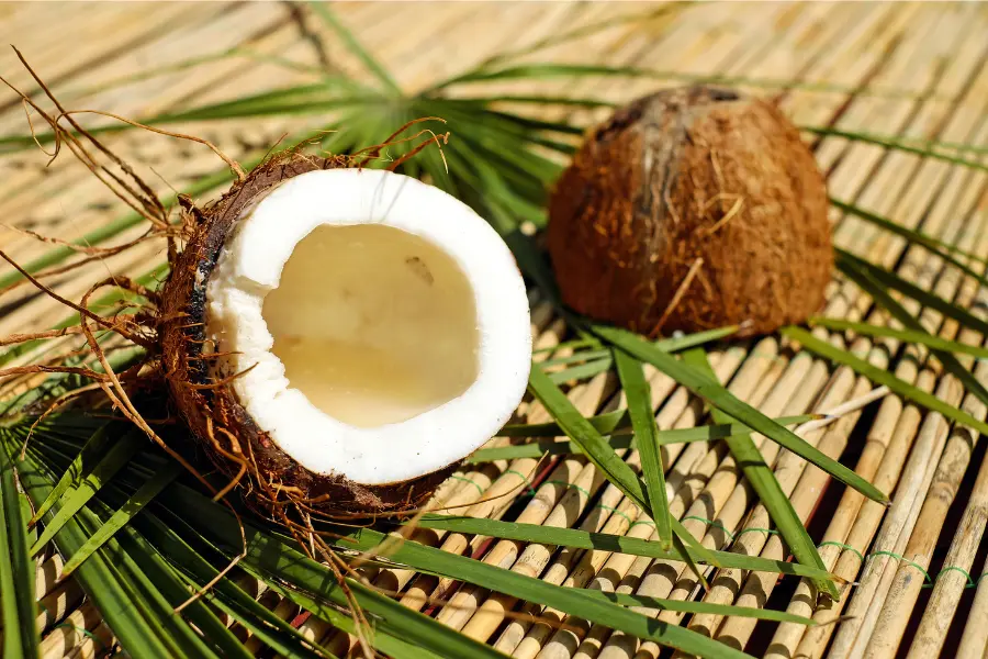 Trái dừa mang lại sự tươi mát của mùa hè
