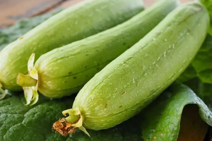 Mướp hương