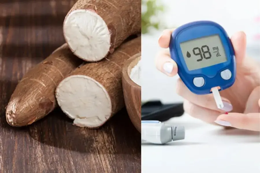 Củ sắn giúp duy trì tính ổn định của hệ đường huyết