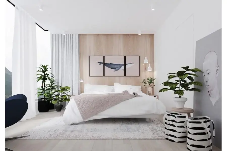 Đặt cây xanh trong phòng để trang trí