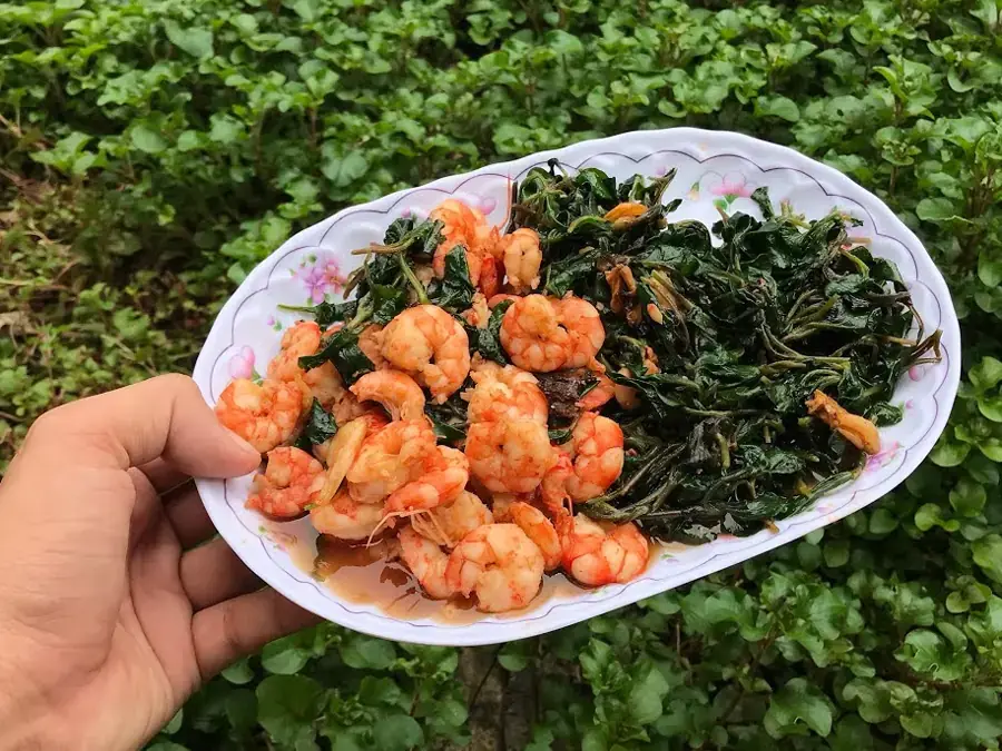 Ăn rau cải xoong Nhật mỗi ngày giúp hỗ trợ phòng bệnh ung thư