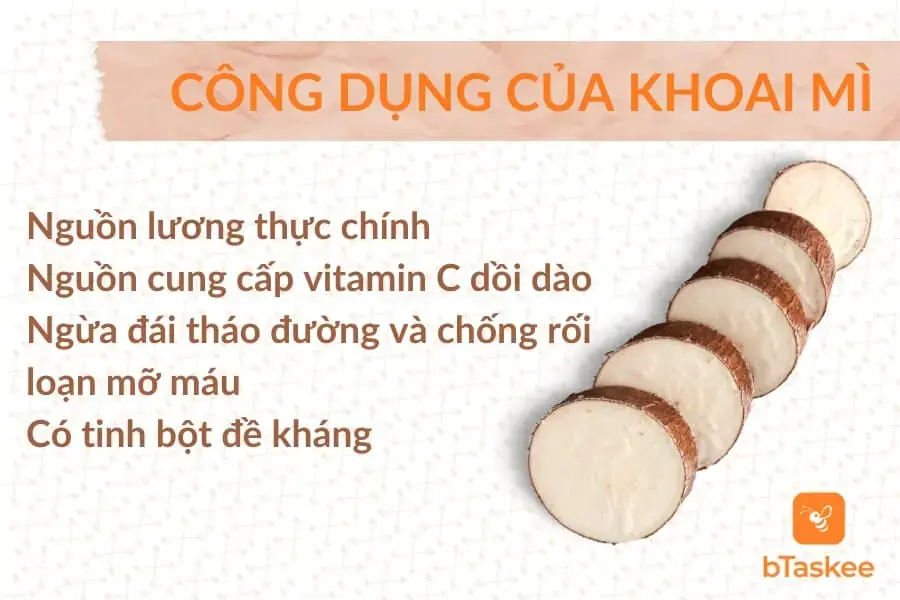 Tổng hợp công dụng của củ sắn