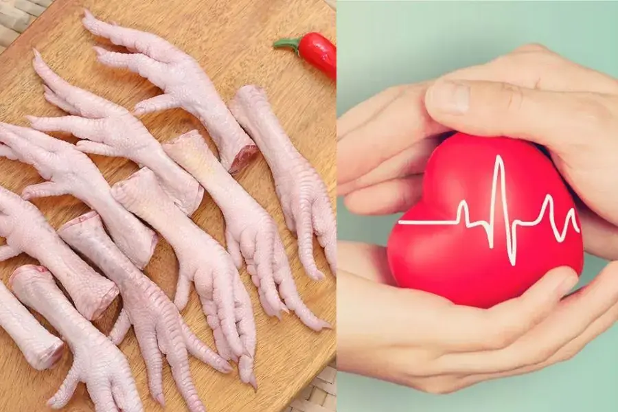 Omega 3 và 6 rất có lợi cho sức khỏe hệ tim mạch.
