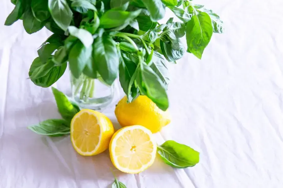 Nước cốt chanh là dung dịch tẩy rửa đa năng
