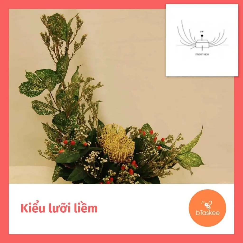 Kiểu cắm hoa lưỡi liềm là kiểu hay được dạy cho người vừa bắt đầu tập cắm hoa