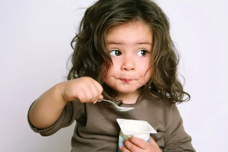 Sữa chua có khả năng duy trì hàm lượng vi khuẩn có lợi trong đường ruột.