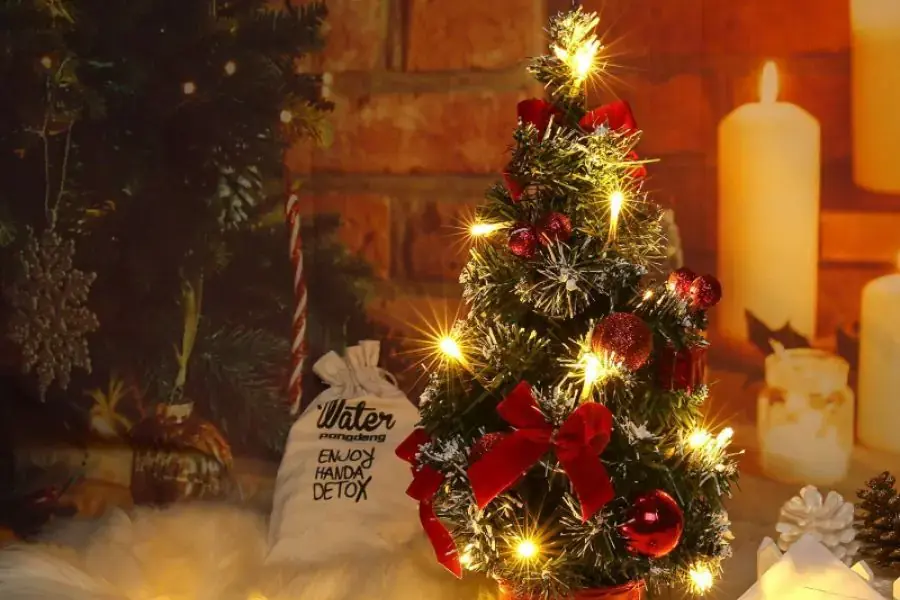 Cây thông Noel thường được đặt tại các khu vực chính để gia tăng sự nổi bật và thu hút mọi ánh nhìn. 