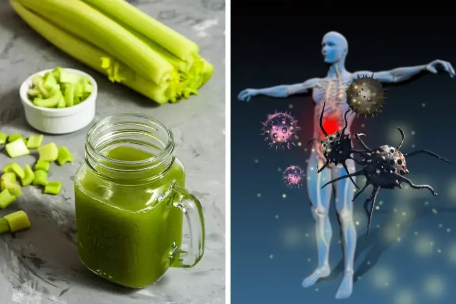 Công dụng của nước ép cần tây giúp tăng cường hệ miễn dịch, nâng cao sức khỏe