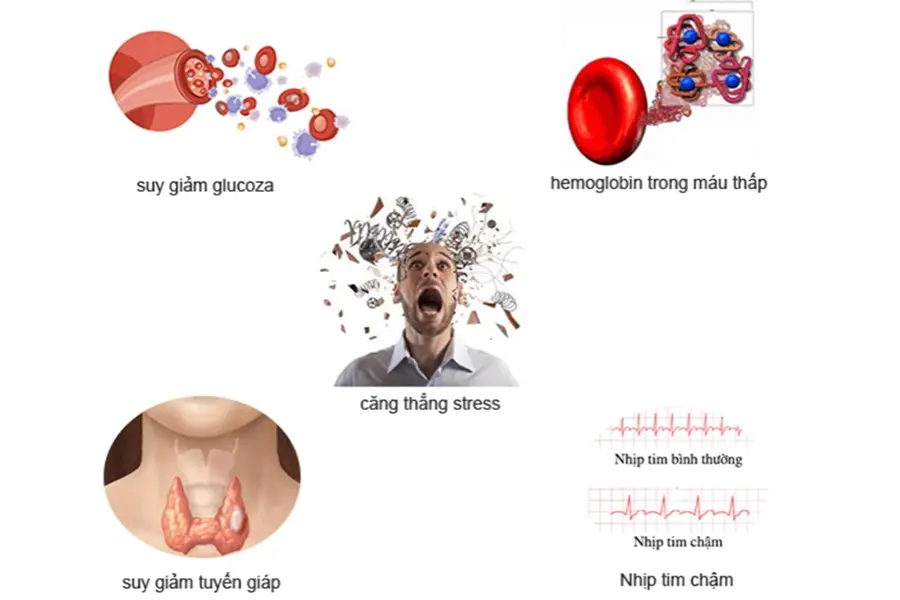 Nguyên nhân huyết áp thấp ở người già: stress, suy giảm tuyến giáp, hemoglobin giảm, suy giảm glucose,..