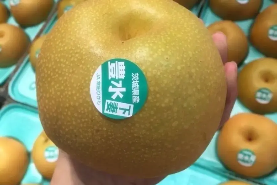 Lê Nhật Bản