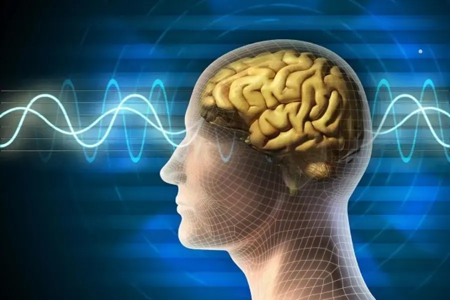 Ăn nho khô giúp năng cao khả năng hoạt động của trí não.