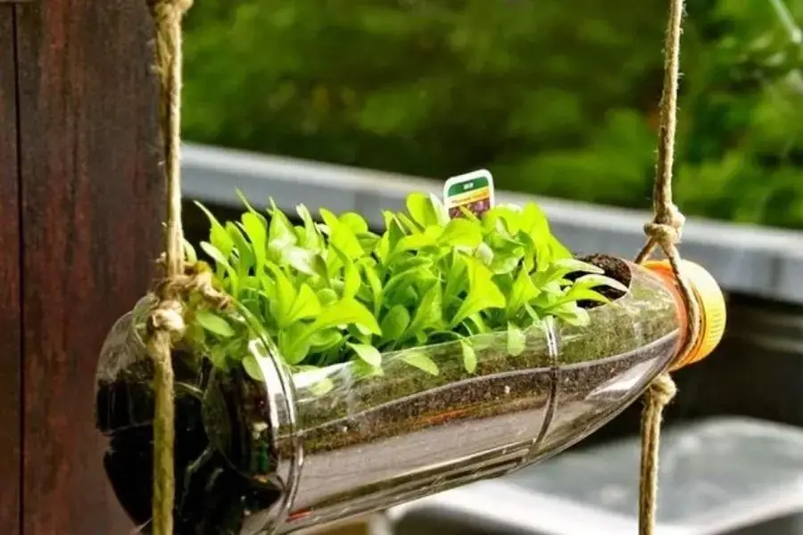 Chai nhựa trồng cây kiểu nằm ngang