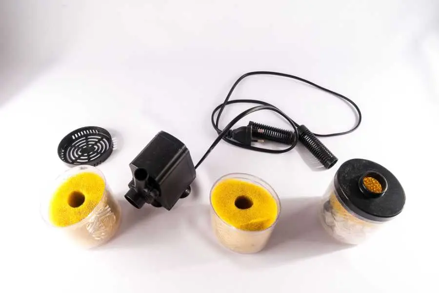 Vệ sinh bộ lọc bể cá