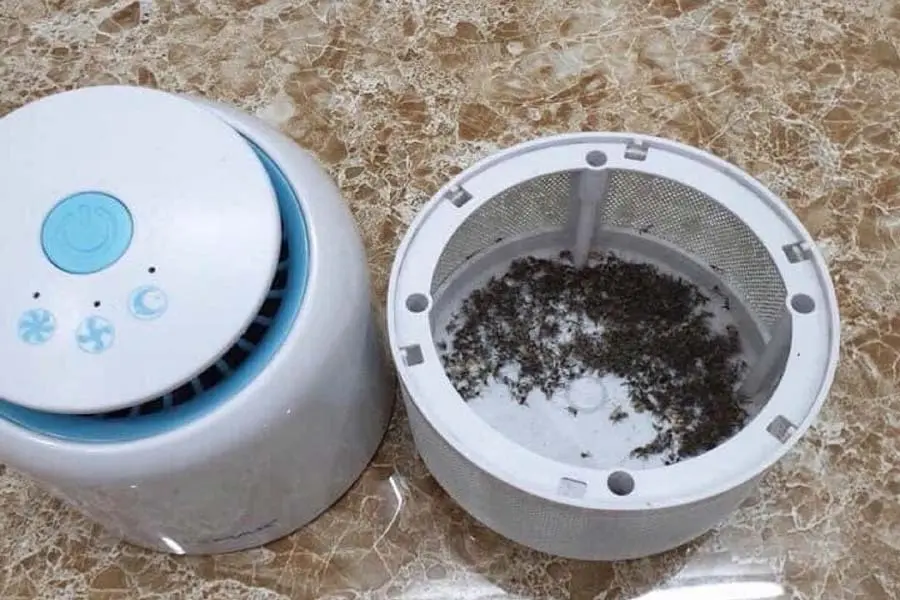 đáy đèn bắt muỗi