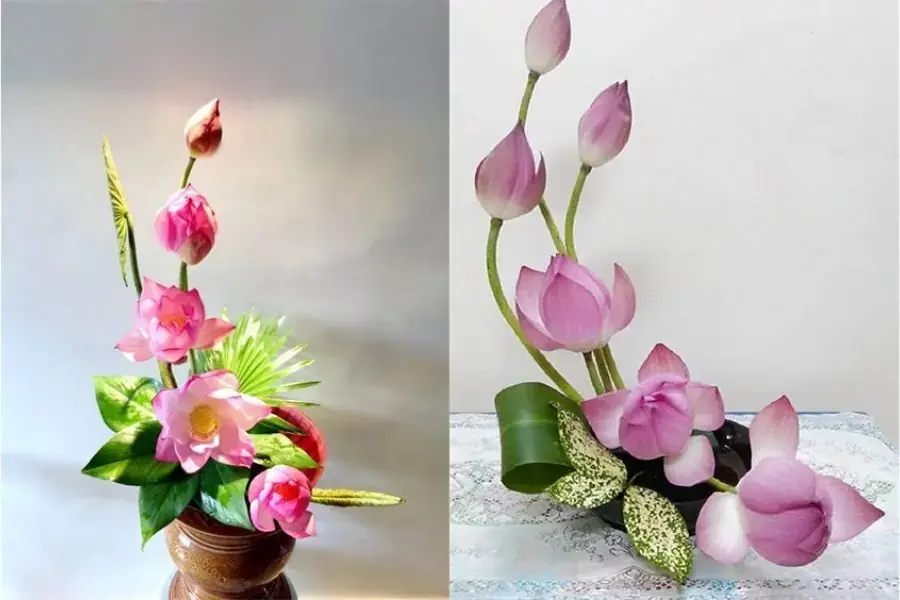 Cắm hoa sen thành chữ S mô tả bản đồ Việt Nam mang đến sự độc đáo và ấn tượng cho không gian sống.