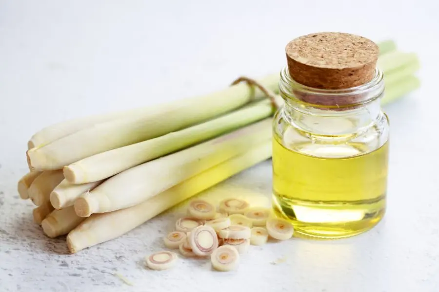 Xông nhà bằng sả giúp thanh tẩy không gian sống.