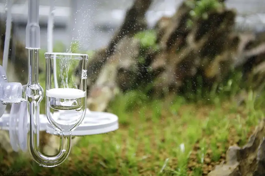Trang bị hệ thống lọc và bơm khí CO2.