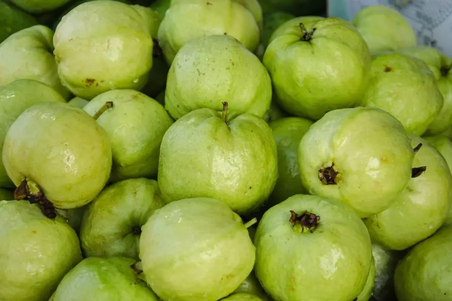 Trong ổi chứa nhiều vitamin C, dưỡng chất giúp hình thành cấu trúc xương khớp.
