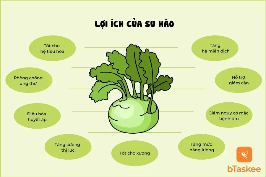 Lợi ích của su hào