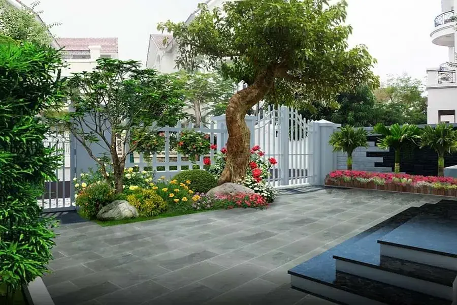 Trồng cây cảnh trước nhà tạo không gian xanh cho ngôi nhà 