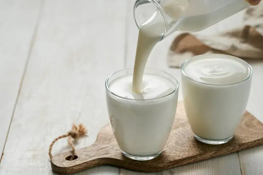 Ăn nhiều sữa chưa quá cho phép gây béo phì.