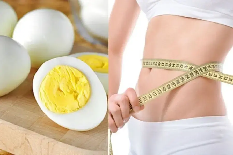 Trứng gà chứa hàm lượng protein cao và chất béo tốt
