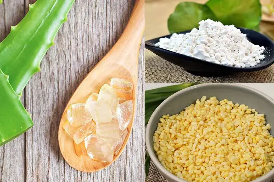 Nguyên liệu để nấu chè đậu xanh nha đam