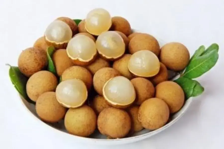 Nhãn xuồng cơm vàng